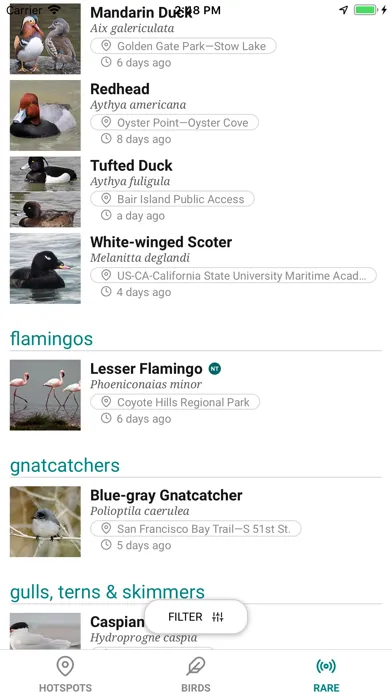 GoBird - Guide to Nearby Birds 스크린샷