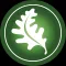 The Oak Leaf