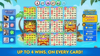 Bingo Lucky - Story bingo Game スクリーンショット