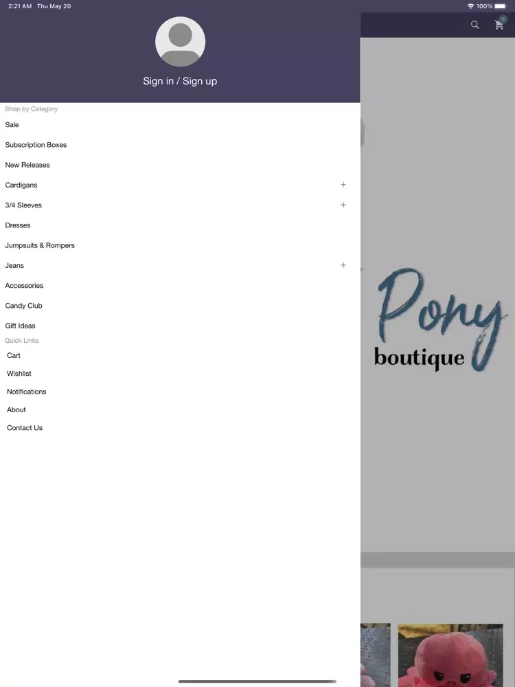 صور The Painted Pony Boutique iPad 
