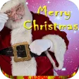 Christmas songs