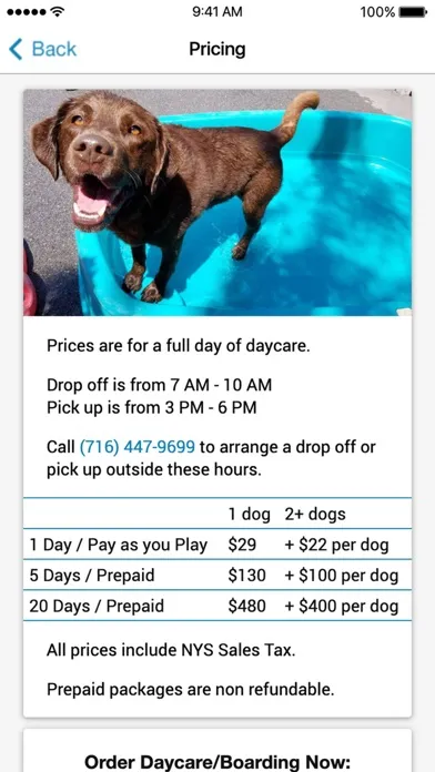 Screenshot di The Puppy Playpen