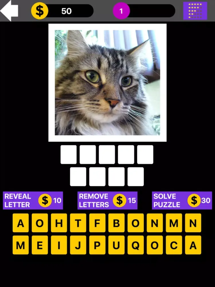Domestic Cat Breed Quiz Maestro iPad  স্ক্রিনশট
