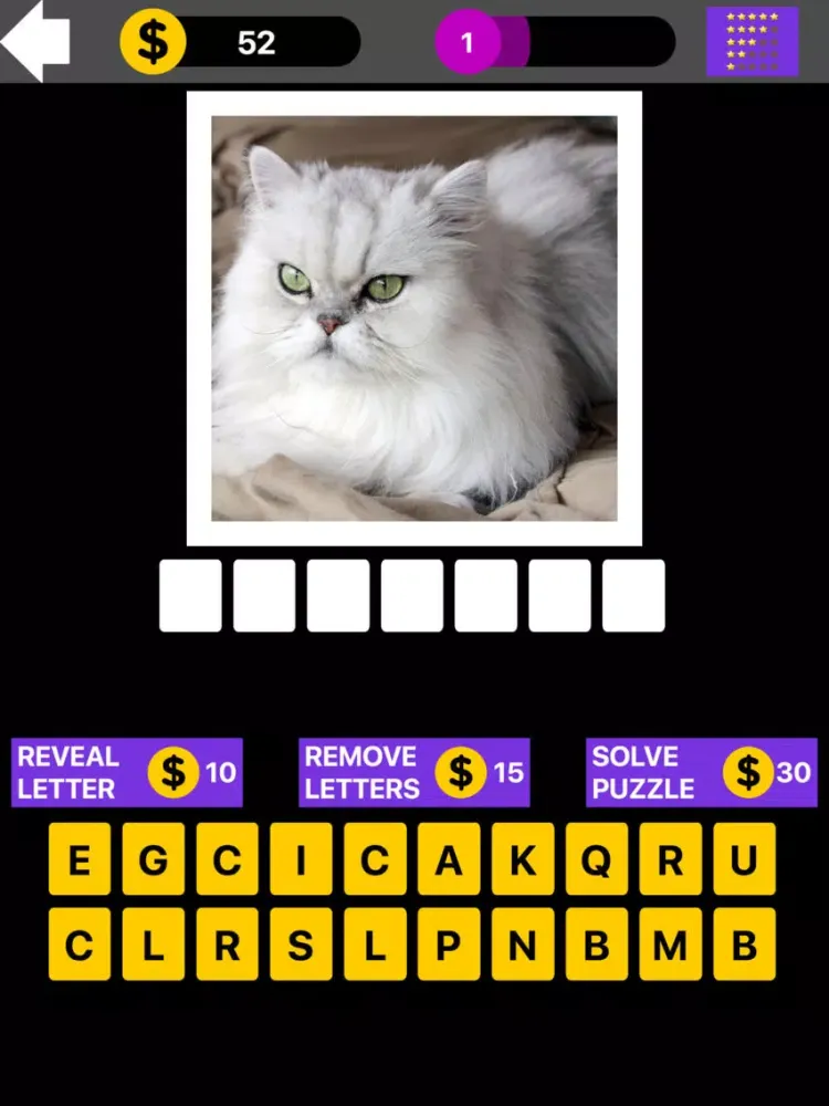 Domestic Cat Breed Quiz Maestro iPad  স্ক্রিনশট