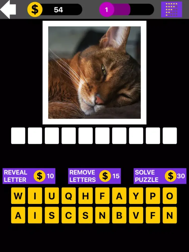 Domestic Cat Breed Quiz Maestro iPad  স্ক্রিনশট
