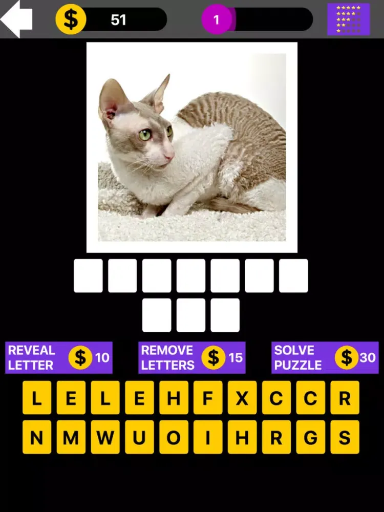 Domestic Cat Breed Quiz Maestro iPad  স্ক্রিনশট