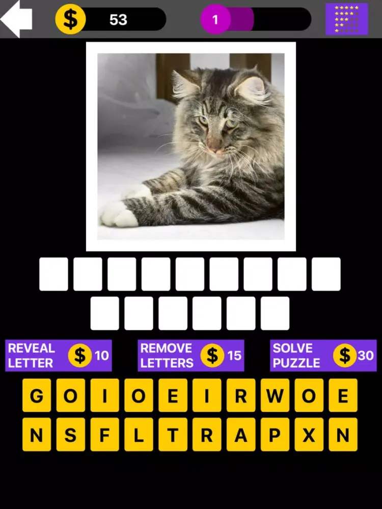 Domestic Cat Breed Quiz Maestro iPad  স্ক্রিনশট