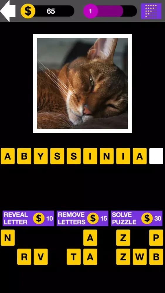 Domestic Cat Breed Quiz Maestro স্ক্রিনশট