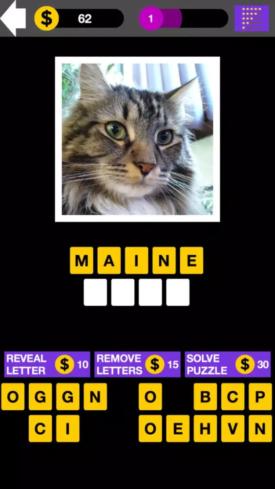 Domestic Cat Breed Quiz Maestro স্ক্রিনশট