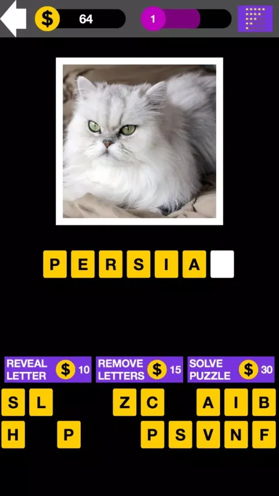 Domestic Cat Breed Quiz Maestro স্ক্রিনশট