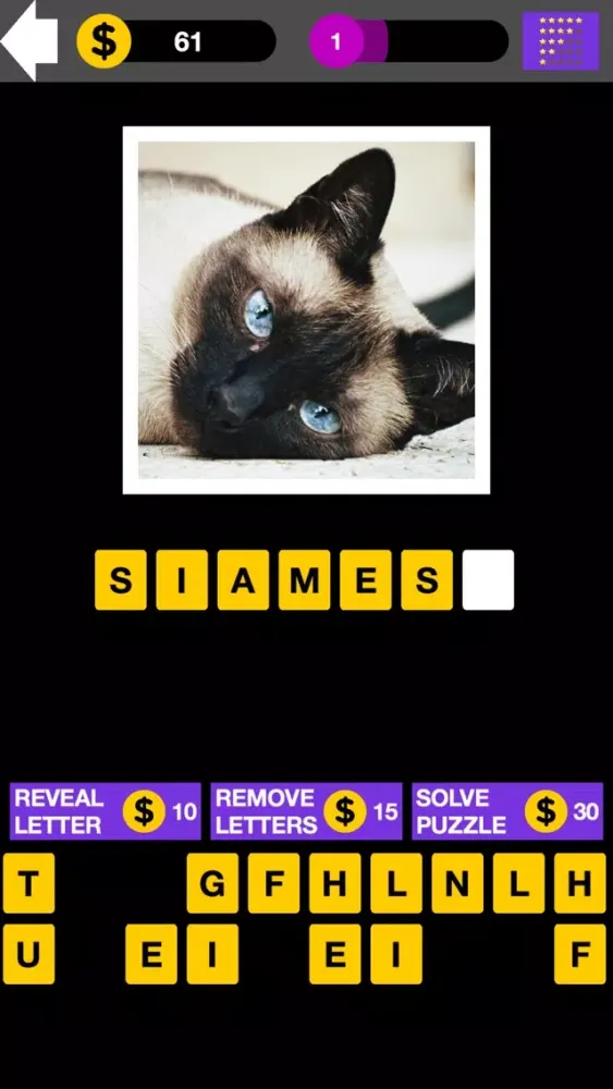 Domestic Cat Breed Quiz Maestro স্ক্রিনশট