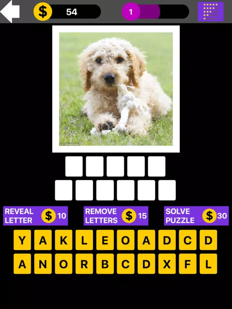 Capturas de tela do Top Dog Breed Quiz Maestro iPad 