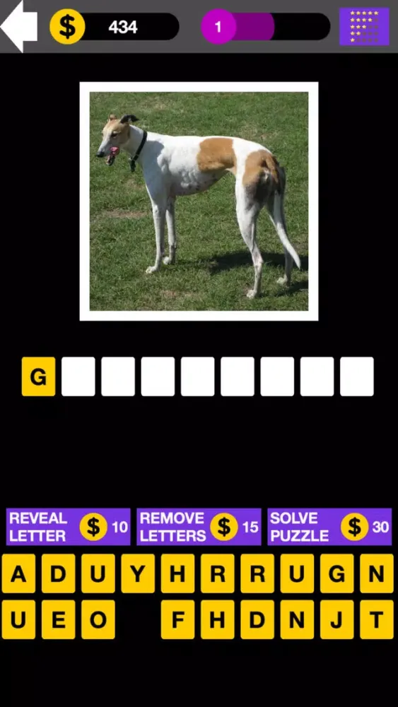 Capturas de tela do Top Dog Breed Quiz Maestro