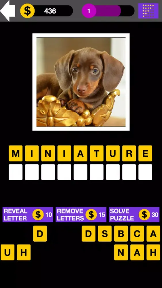 Capturas de tela do Top Dog Breed Quiz Maestro