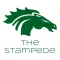 The Stampede RHS