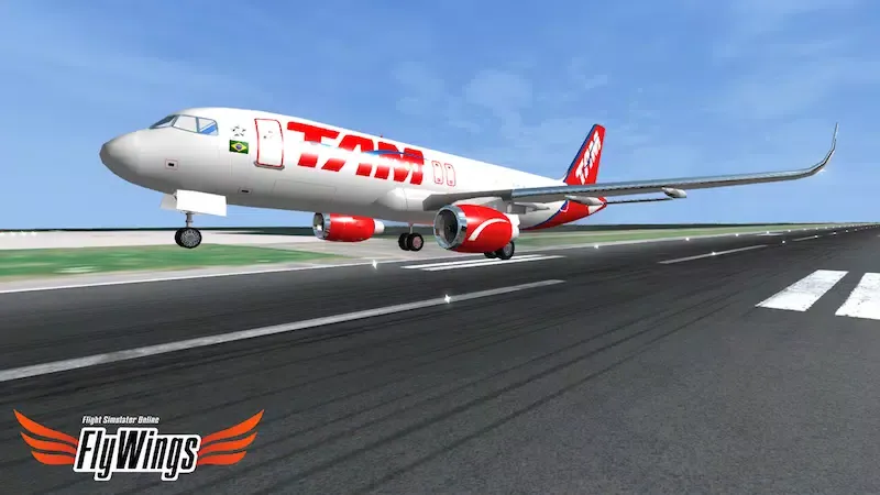 Captures d'écran de Flight Simulator 2014 FlyWings
