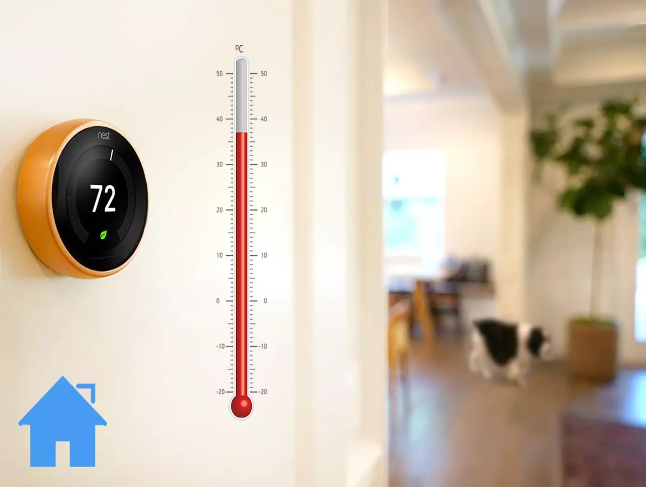 صور Temperature Measurement App