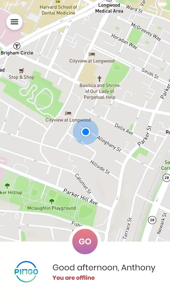 Pingo Driver Light Ekran Görüntüleri