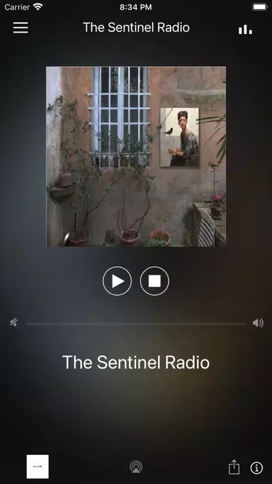 The Sentinel Radio Screenshots