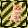 What it is-Object Detection