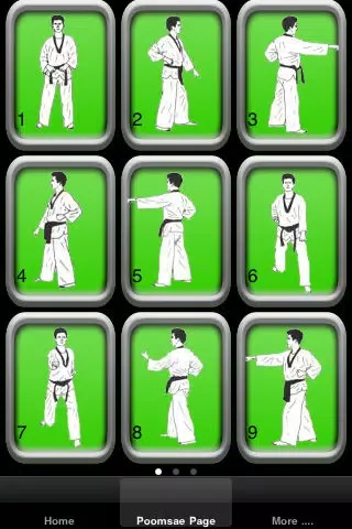 Capturas de tela do Taekwondo Personal Trainer