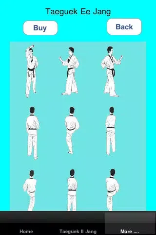 Capturas de tela do Taekwondo Personal Trainer