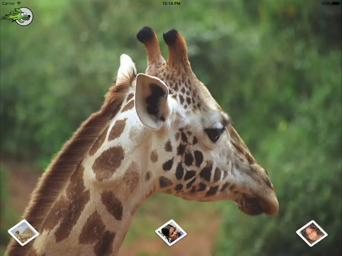 Views of Kenya iPad  Ekran Görüntüleri