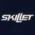 Skillet Band