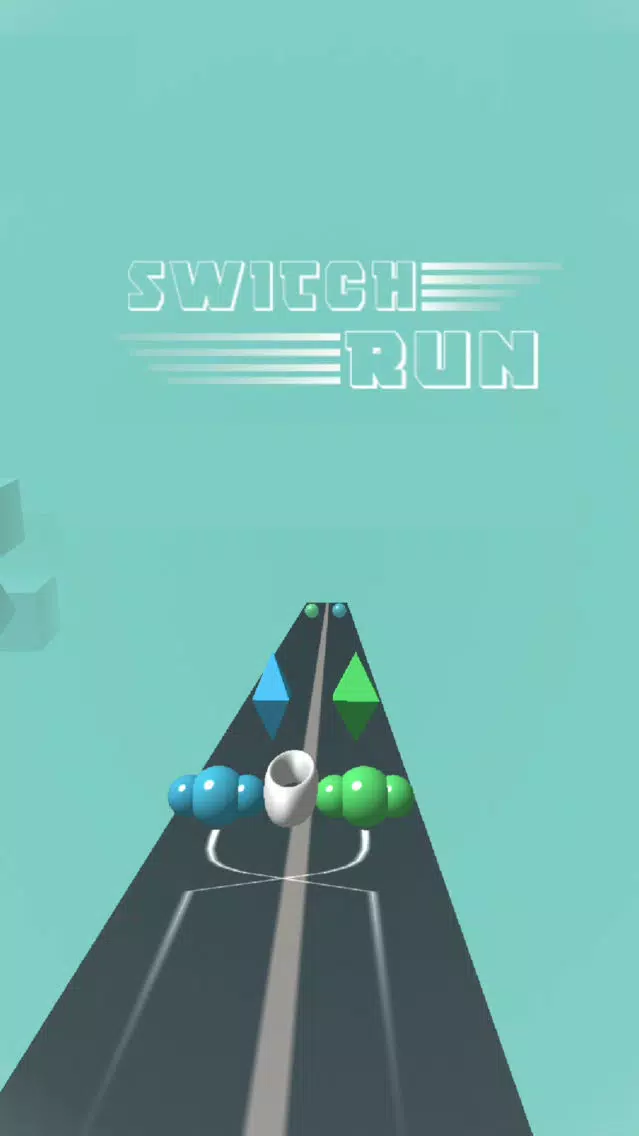 تصاویر SwitchRun 3d