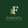 Foresta Foresta