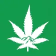 Rocky Mountain Cannabis