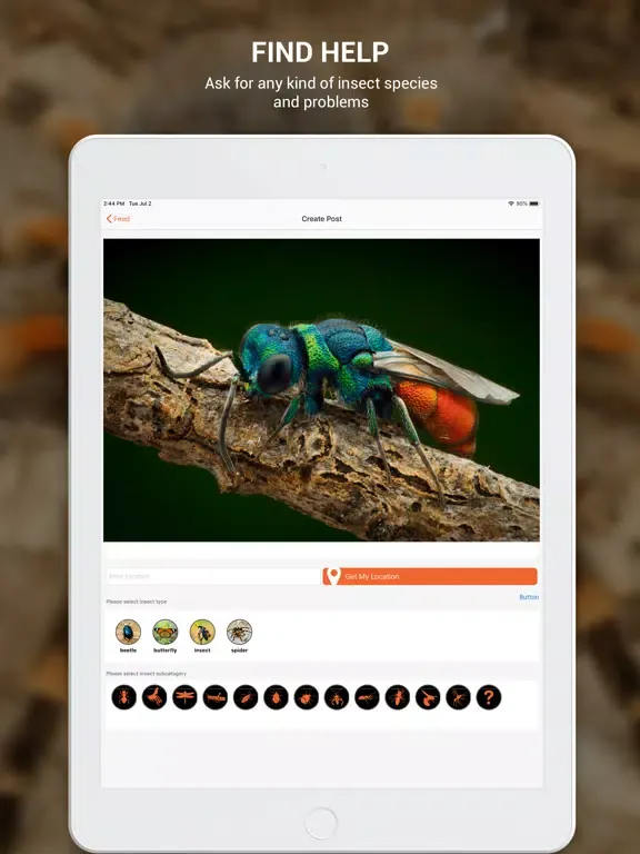 Capturas de tela do Insect identifier by photo iPad 