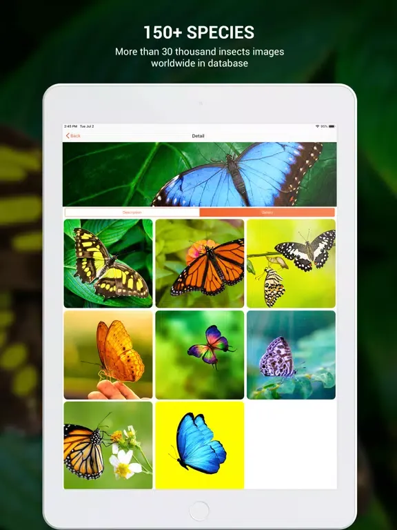 Capturas de tela do Insect identifier by photo iPad 