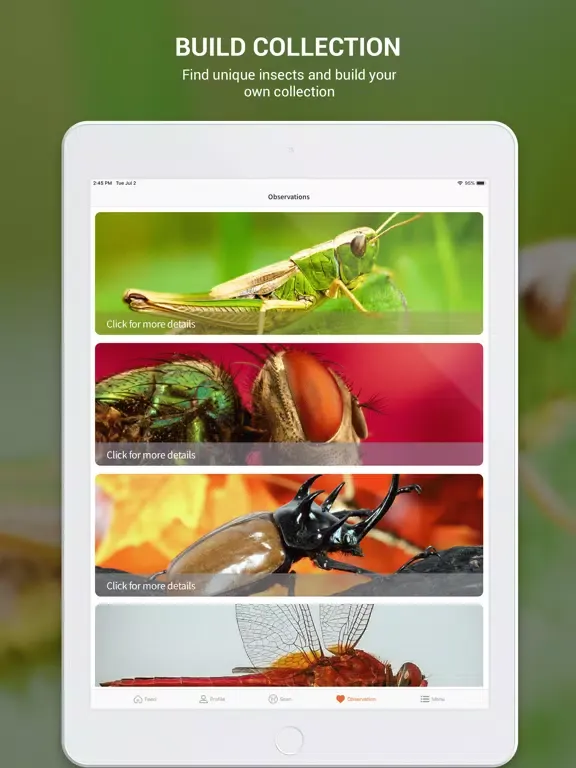 Capturas de tela do Insect identifier by photo iPad 