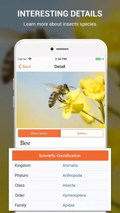 Capturas de tela do Insect identifier by photo