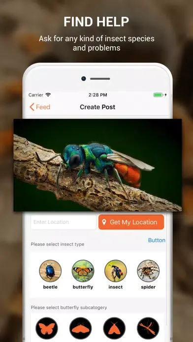 Capturas de tela do Insect identifier by photo