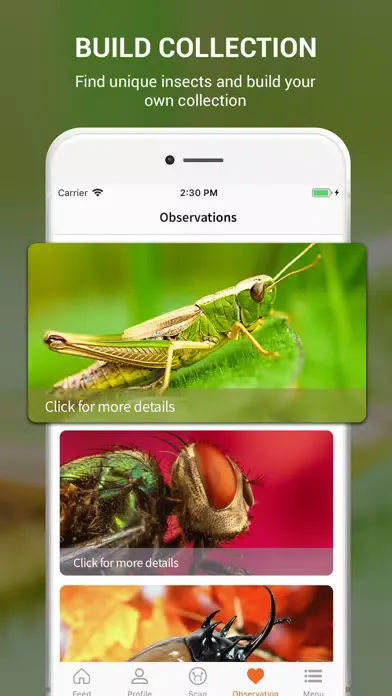 Capturas de tela do Insect identifier by photo
