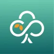 TreeDots Group Buy