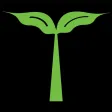 Verts Neighborhood Dispensary