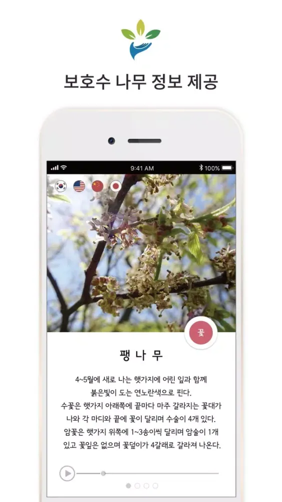 Tangkapan layar 부산 보호수