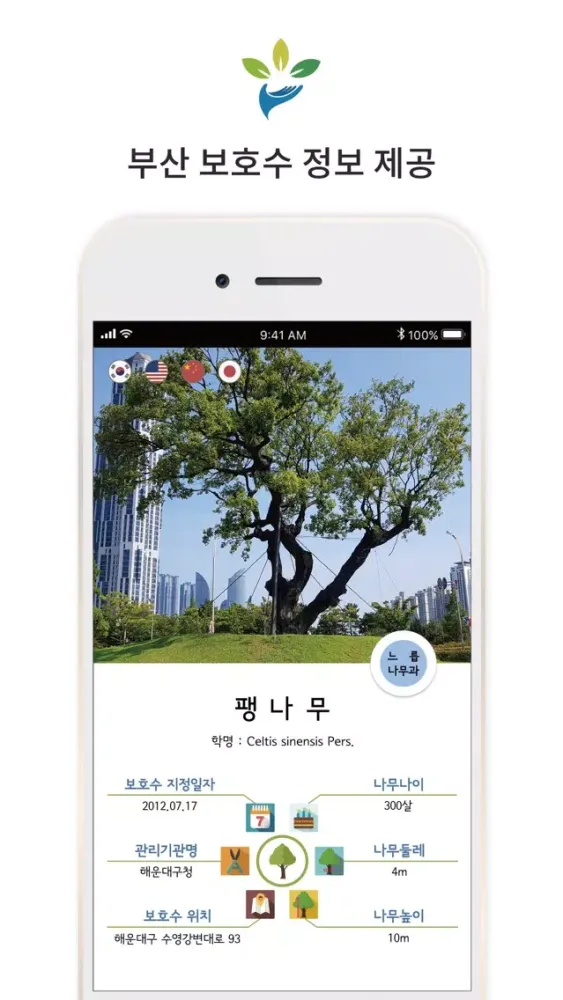 Tangkapan layar 부산 보호수