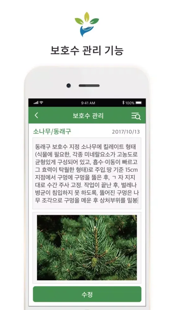 Tangkapan layar 부산 보호수
