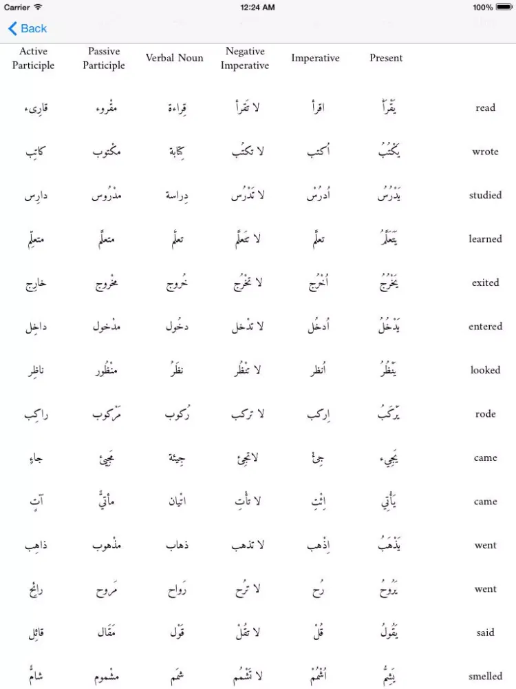 Arabic Tenses and verb Conjugations iPad  スクリーンショット