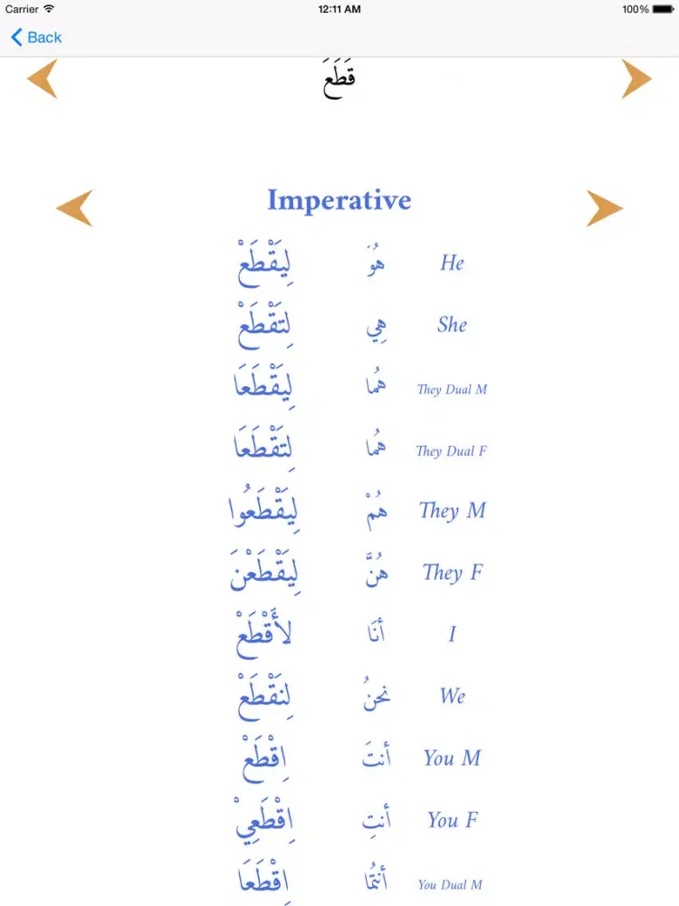Arabic Tenses and verb Conjugations iPad  スクリーンショット