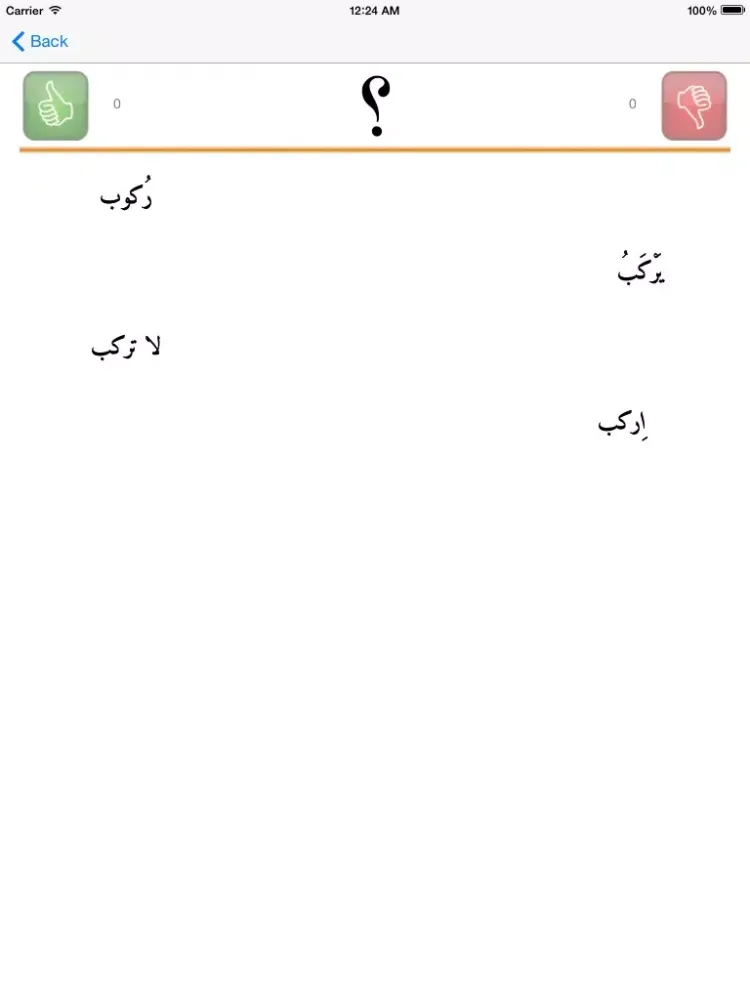 Arabic Tenses and verb Conjugations iPad  スクリーンショット