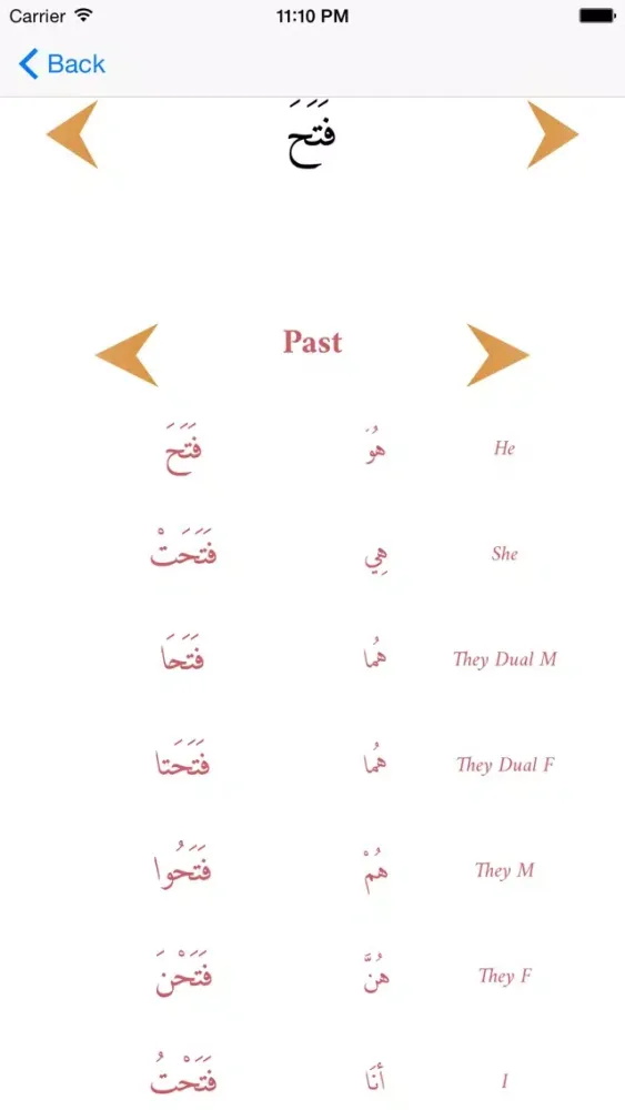 Arabic Tenses and verb Conjugations スクリーンショット