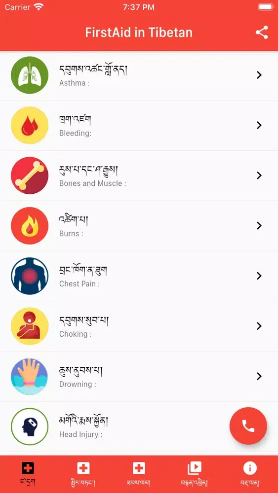 Скриншоты FirstAid in Tibetan