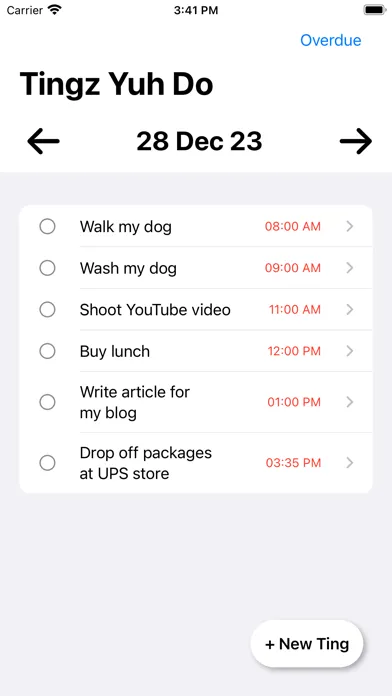 Do Tingz: To-Do List & Planner应用截图