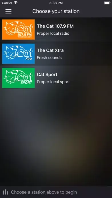 Zrzuty ekranu The Cat 107.9
