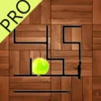 Real Maze Ball Challenge